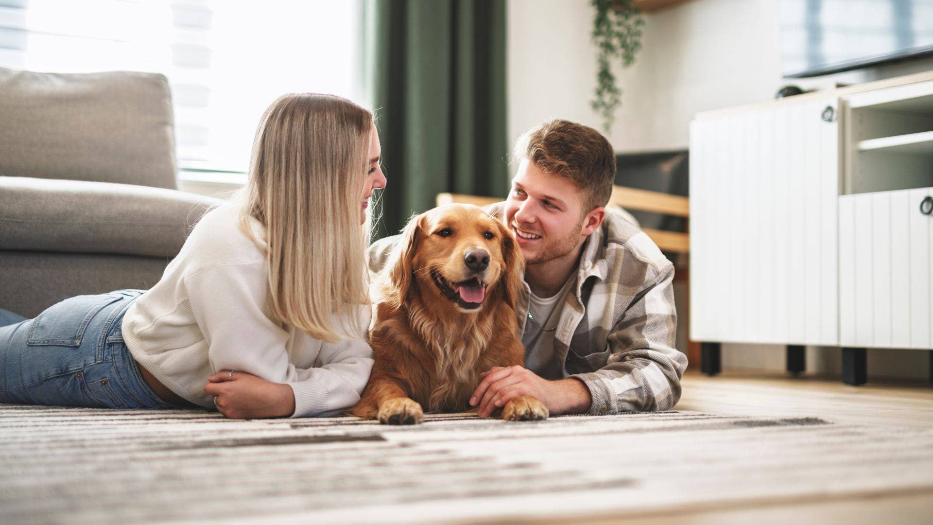 Pets in lets: can you refuse from the 1st May 2026?